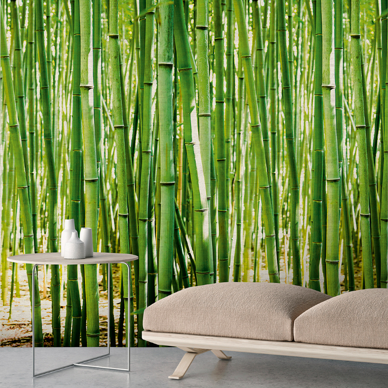 Bamboo