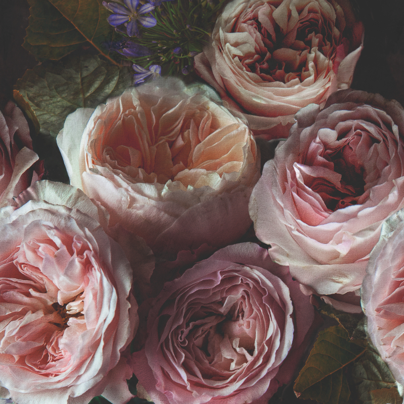 Romantic Flowers - Image 2