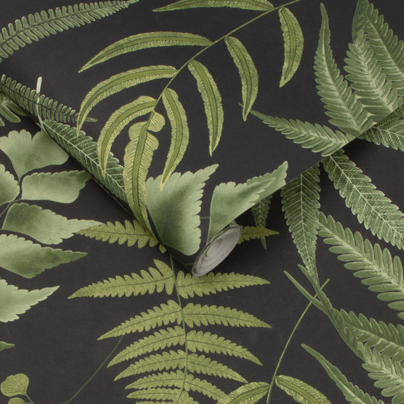 Midsummer Fern Black