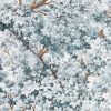 Coppice Blue