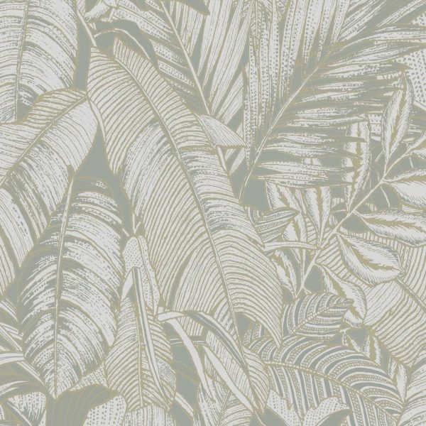 Paradys Sage - Image 3