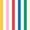 Country Critters Chunky Stripe White / Rainbow