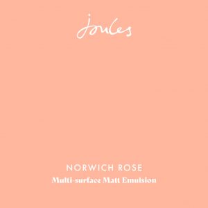 Norwich Rose