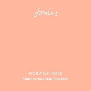 Norwich Rose