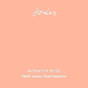 Norwich Rose