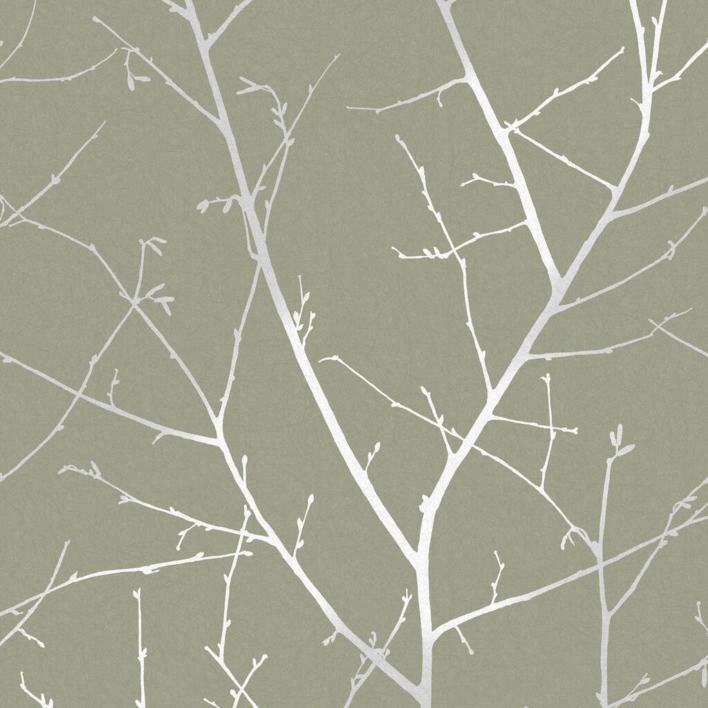 Boreas Sage - Image 3