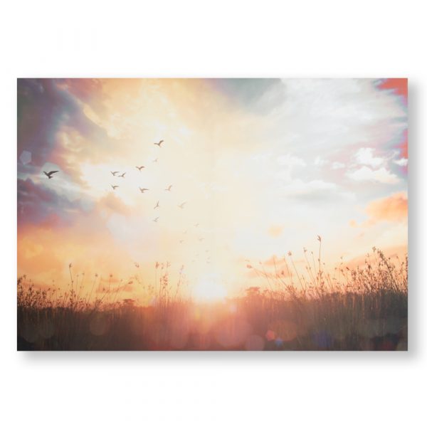 Serene Sunset Meadow - Image 2