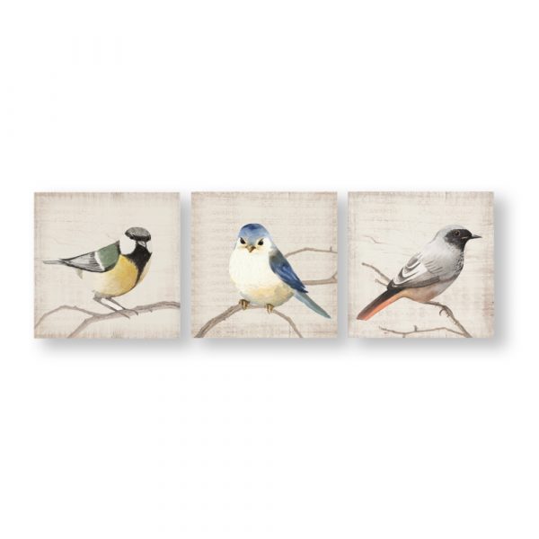 Perched Birds - Image 2