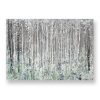 Watercolour Woods product shot
