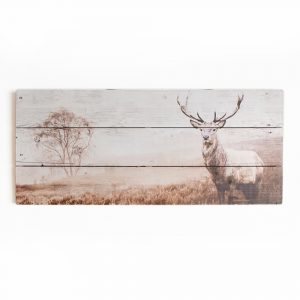 Stag product shot