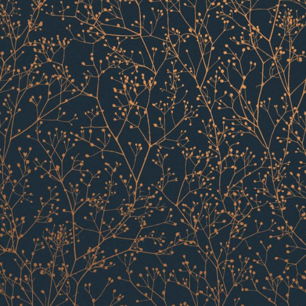 Gypsophila Midnight & Copper up-close