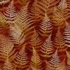 Woodland Fern Rust up-close