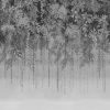 Enchanted Vale Charcoal Fixed Size Mural - Image 2