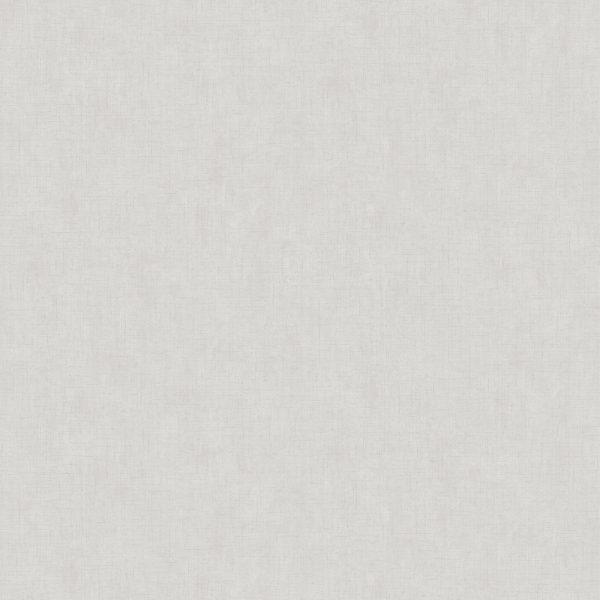 Plain - Pale Silver - Image 3