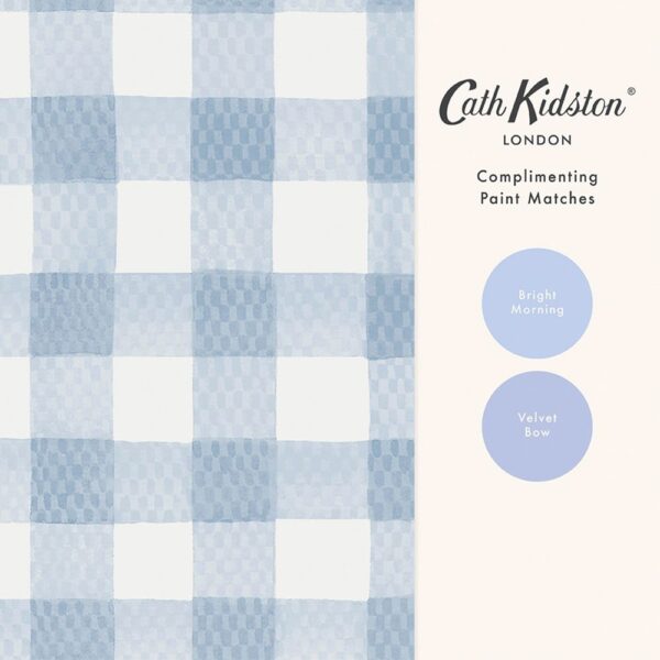 Painted Gingham Blue - Image 4