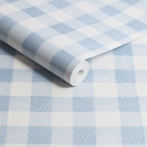 Painted Gingham Blue