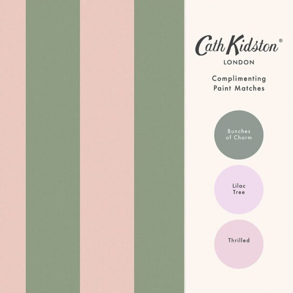 Canopy Stripe Green & Pink - Image 4