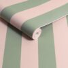 Canopy Stripe Green & Pink