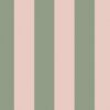 Canopy Stripe Green & Pink - Image 3