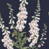 Foxglove Midnight - Image 3