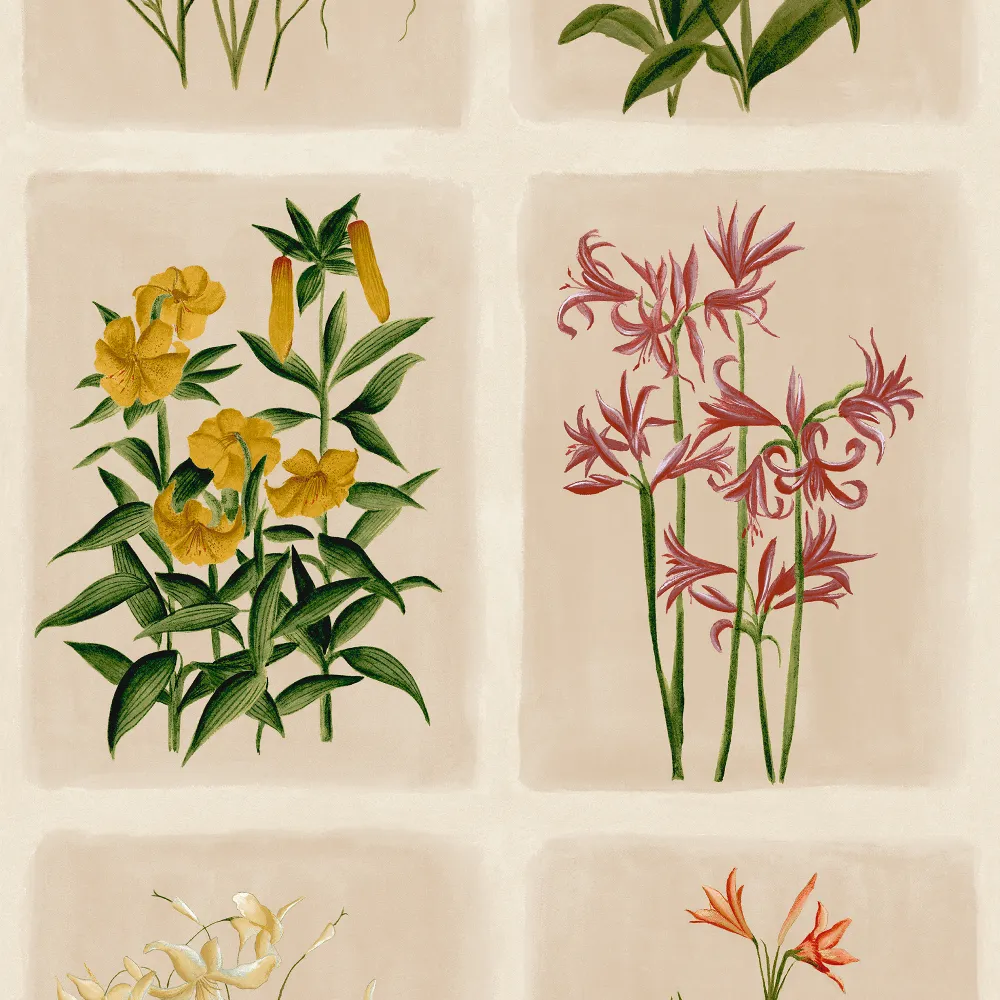 Pershore Postcards Linen - Image 3