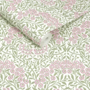 Michaelmas Daisy Pink Cedar
