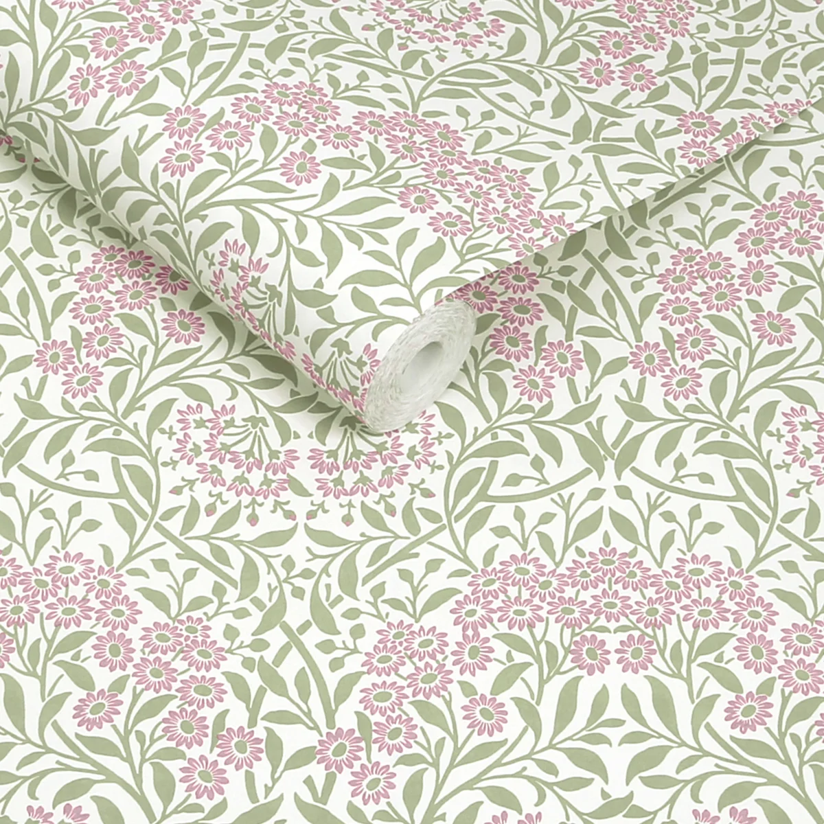 Michaelmas Daisy Pink Cedar