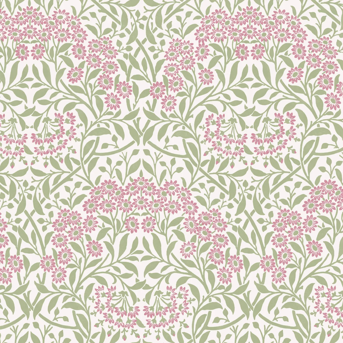 Michaelmas Daisy Pink Cedar - Image 3