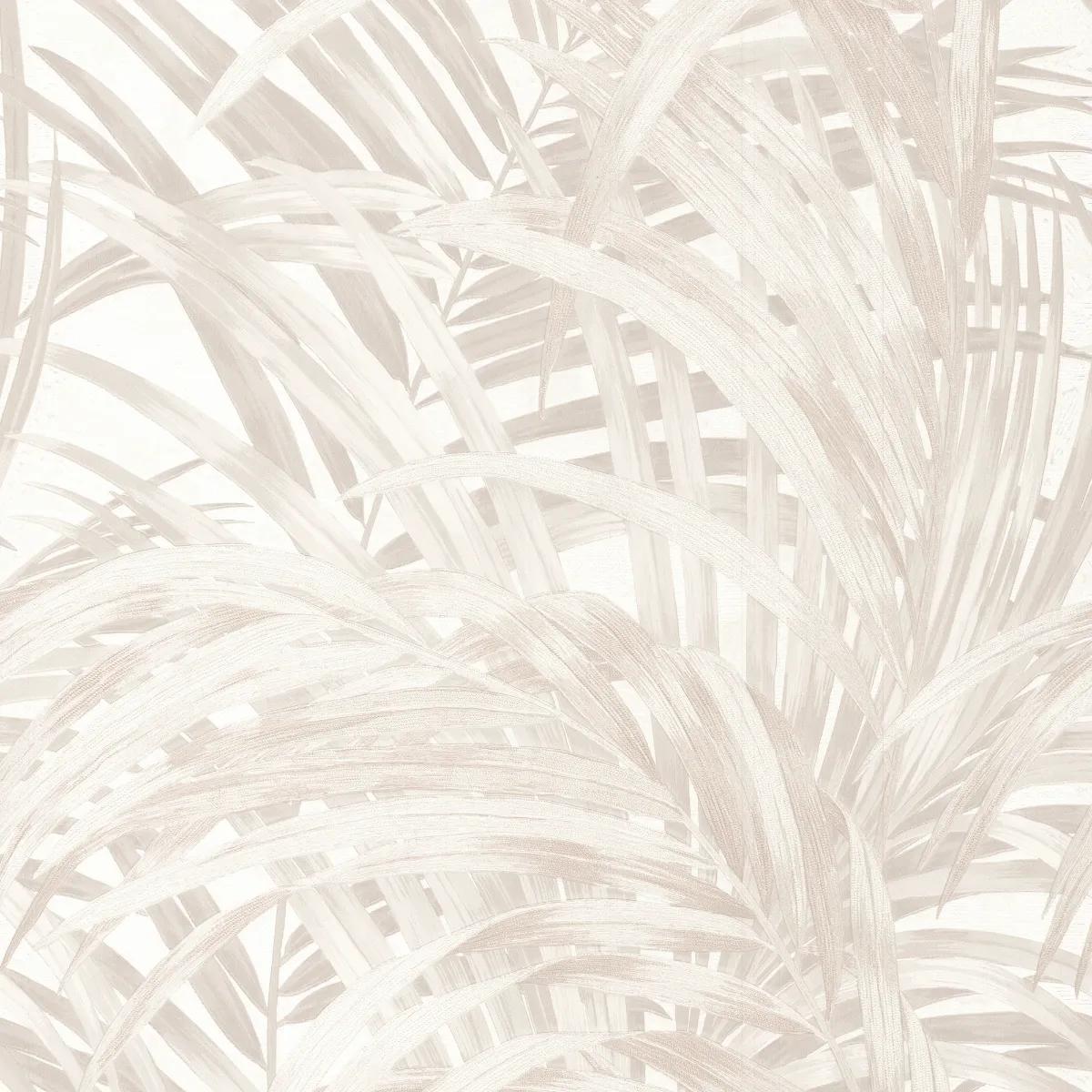Congo Pearl - Image 3