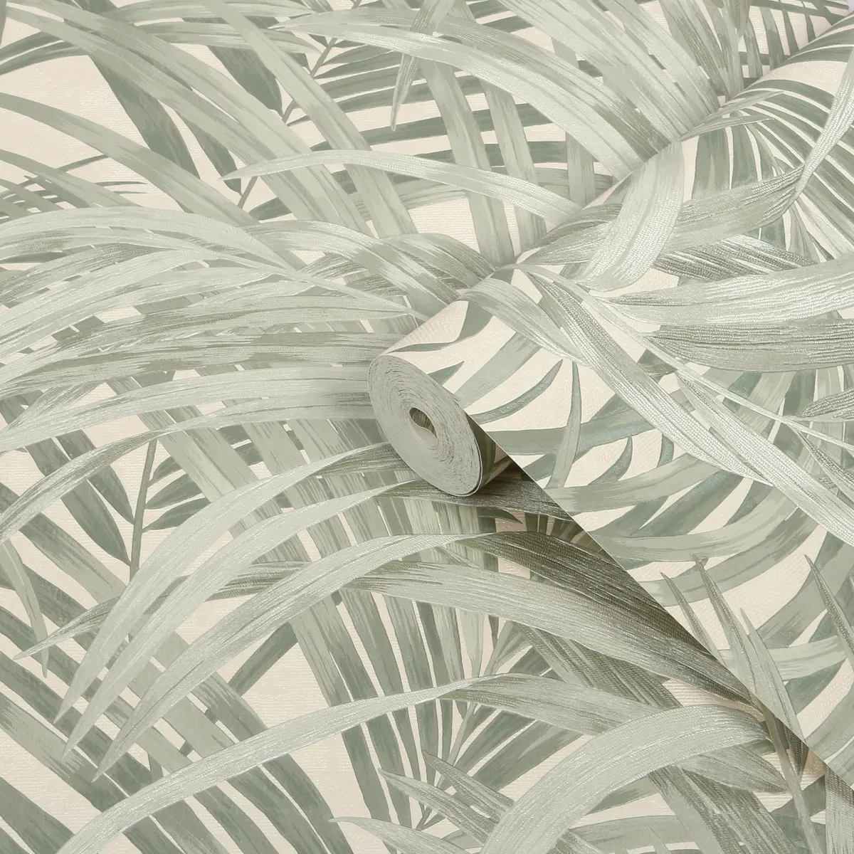 Congo Forest