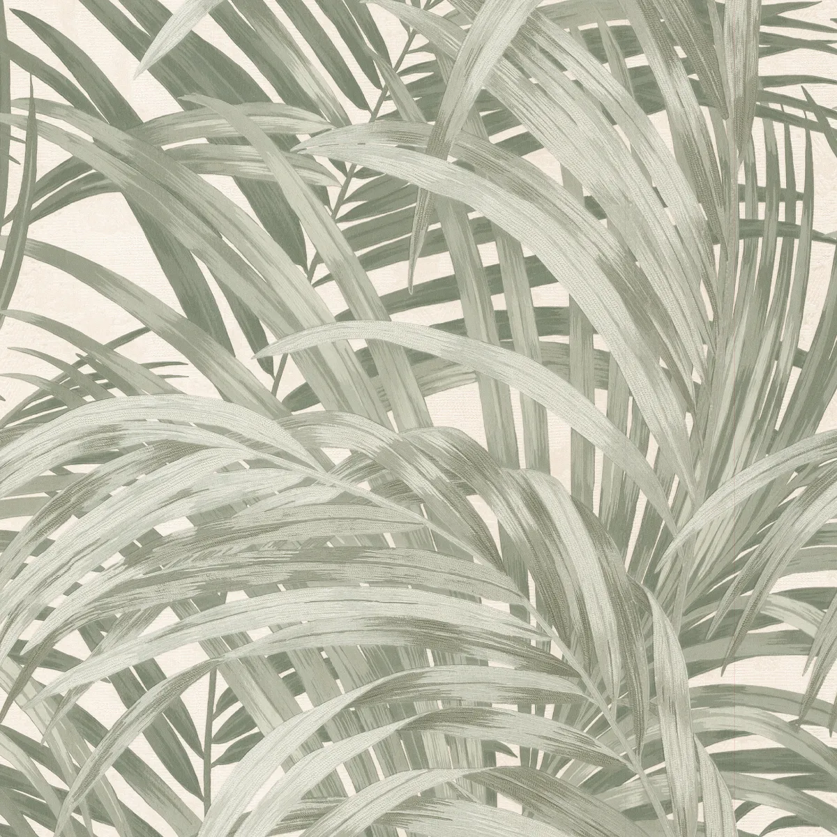 Congo Forest - Image 3