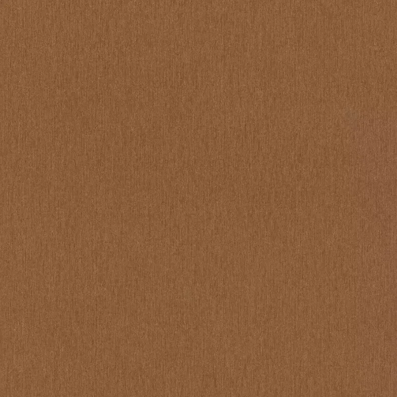 Amara Metallic Brown & Brass - Image 2