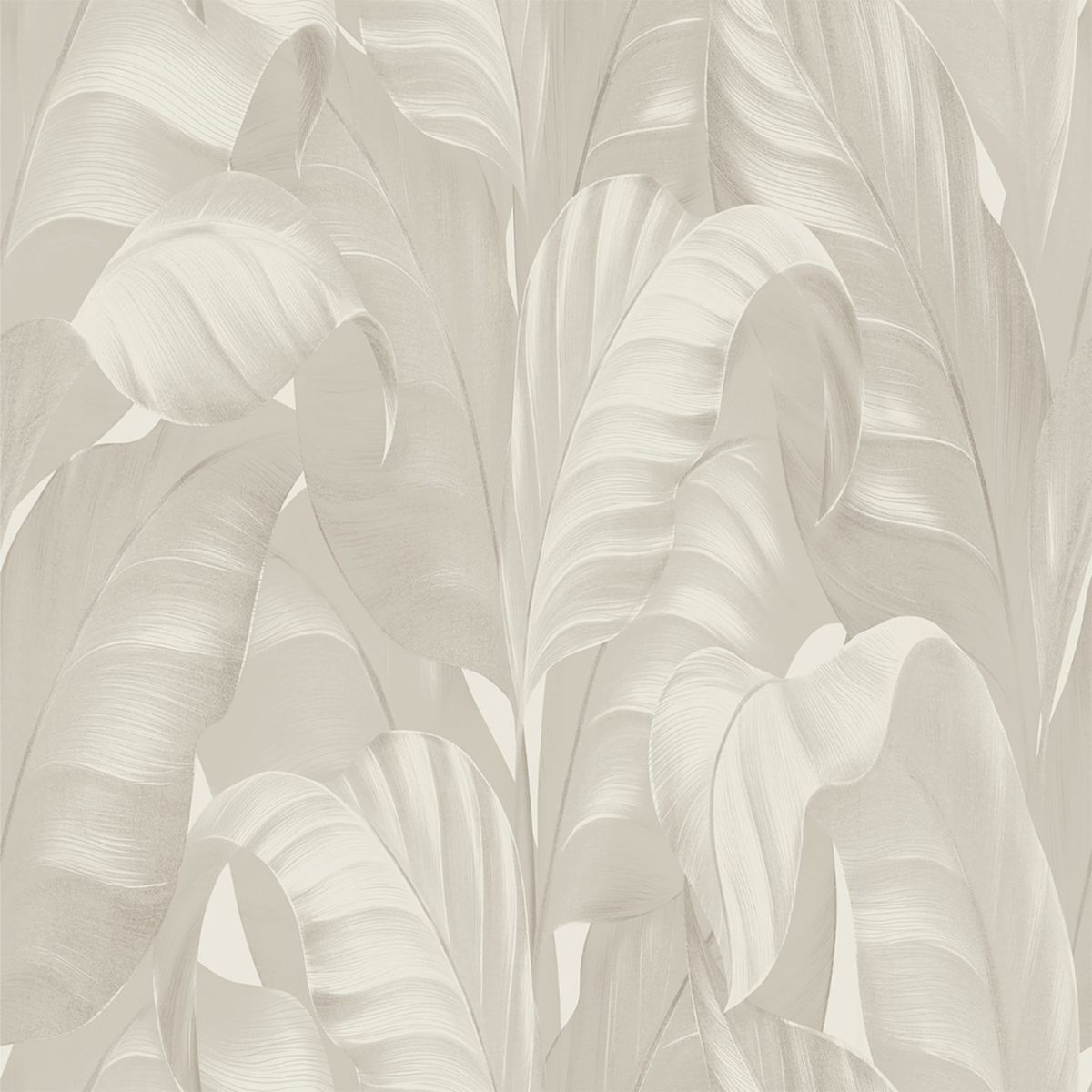 2362-SUMATRA-LEAF-CREAM-FULL-FLAT-