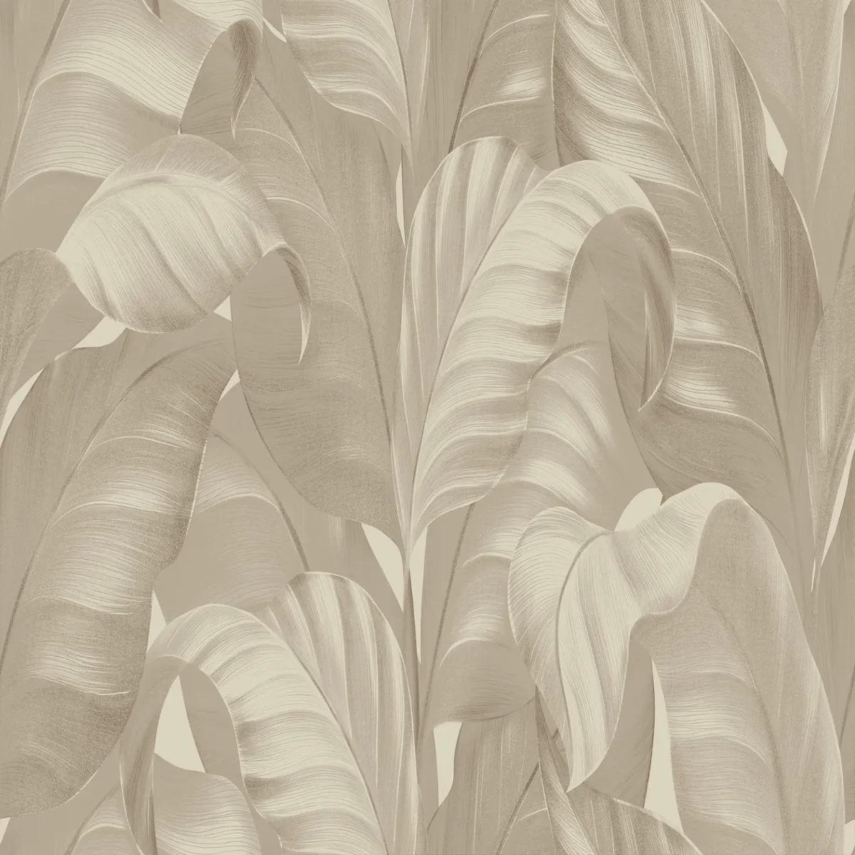 Sumatra Beige